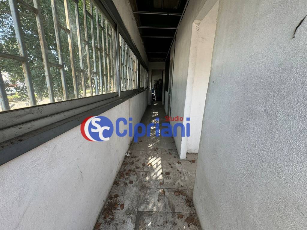immagine annuncio 8 di 12