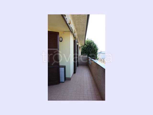 immagine annuncio 7 di 13