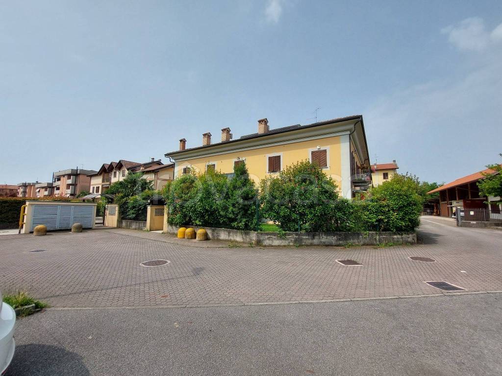 immagine annuncio 5 di 15