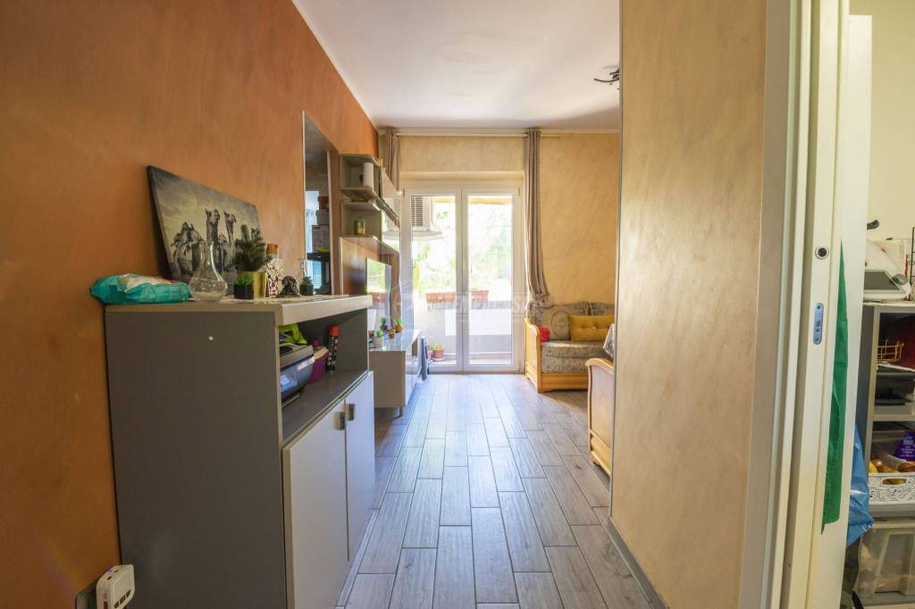 immagine annuncio 9 di 14