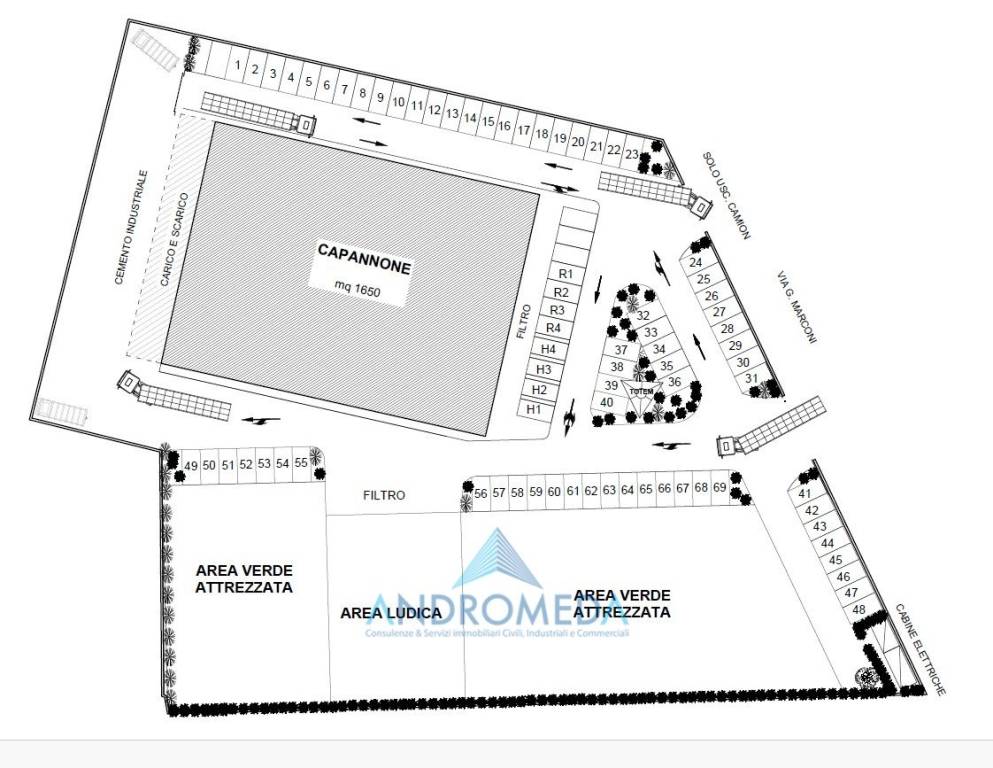 immagine annuncio 1 di 13