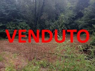 Terreno residenziale in vendita a laveno-mombello 