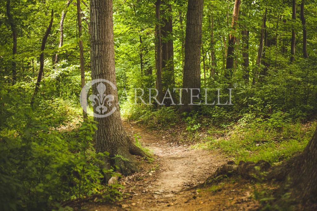 immagine annuncio 4 di 6