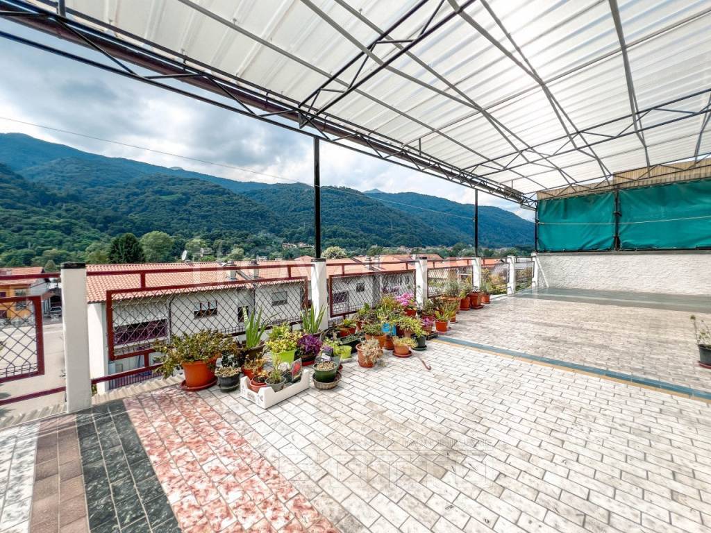 immagine annuncio 5 di 7