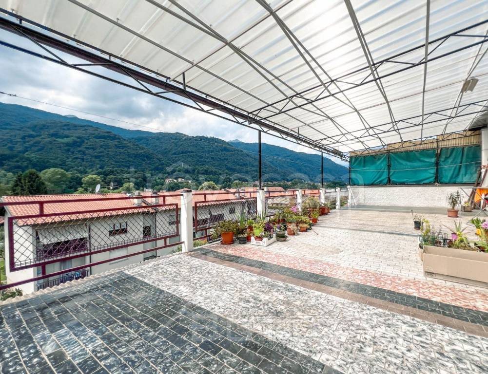 immagine annuncio 6 di 7