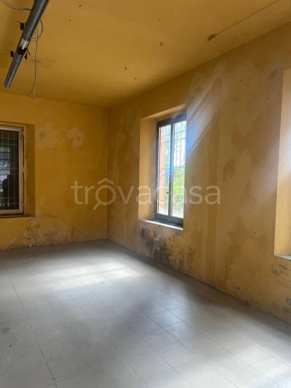 immagine annuncio 10 di 14