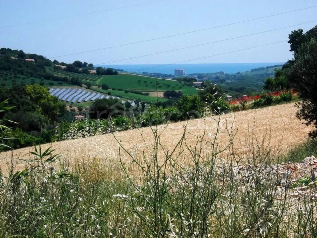 immagine annuncio 11 di 13