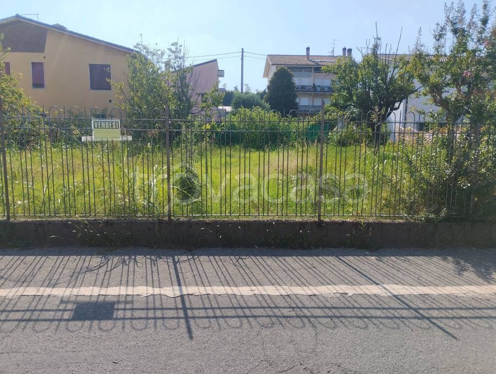 immagine annuncio 3 di 13