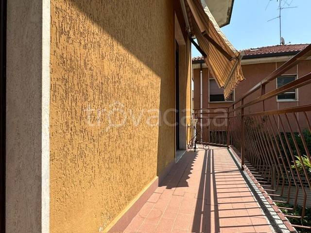 immagine annuncio 2 di 11