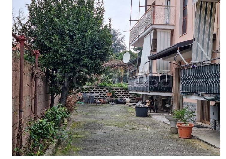immagine annuncio 5 di 14