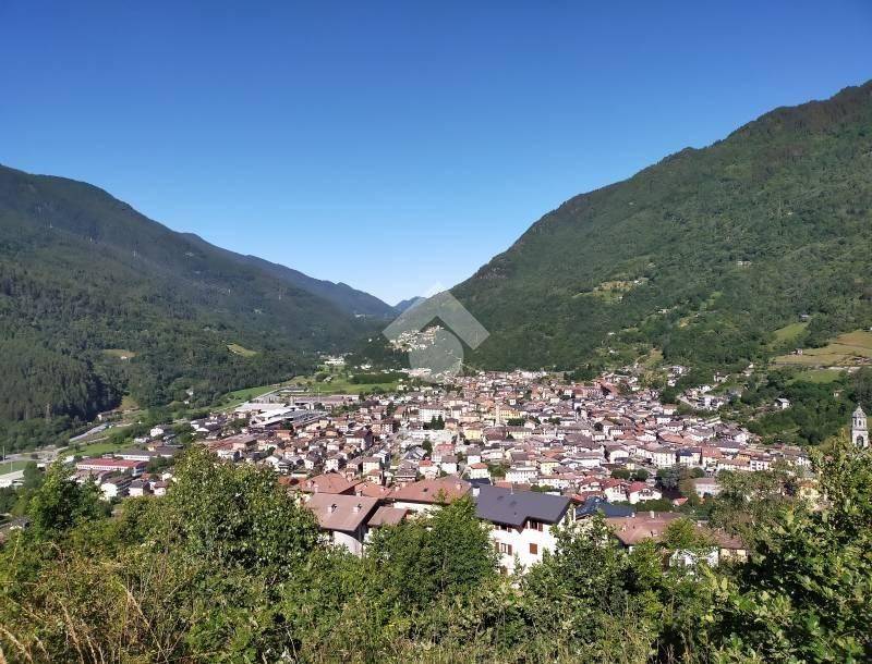immagine annuncio 10 di 12
