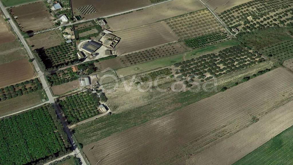 immagine annuncio 4 di 11