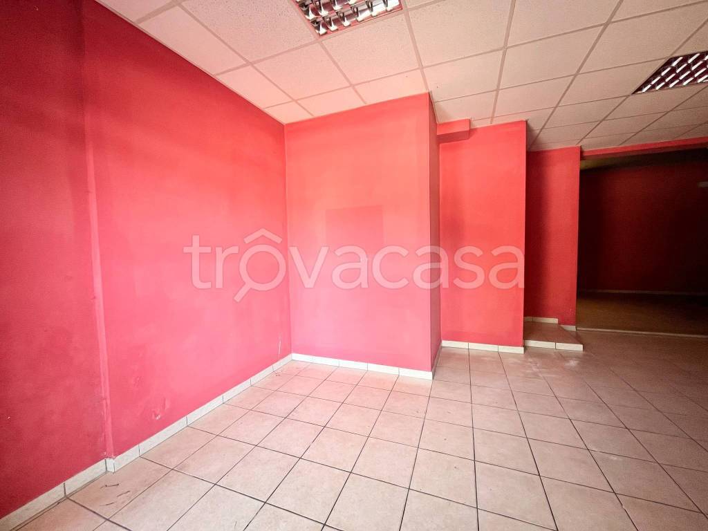 immagine annuncio 2 di 8
