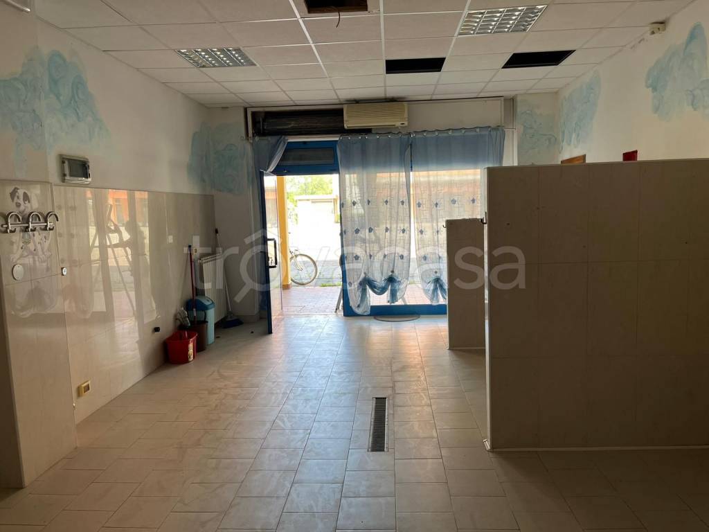 immagine annuncio 1 di 2