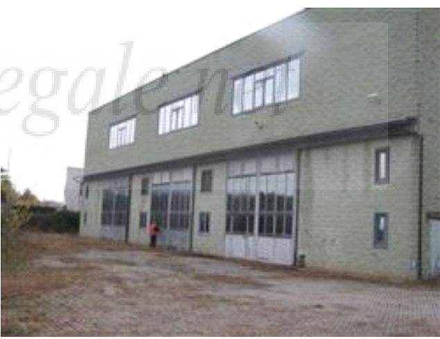 immagine annuncio 1 di 10