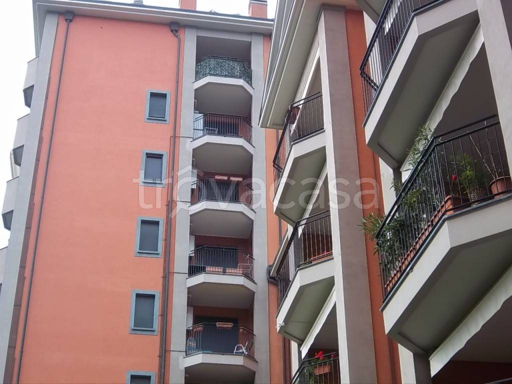 immagine annuncio 10 di 11