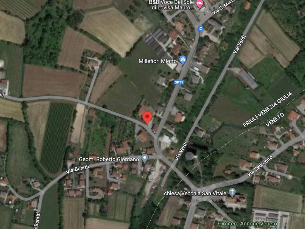 immagine annuncio 1 di 10