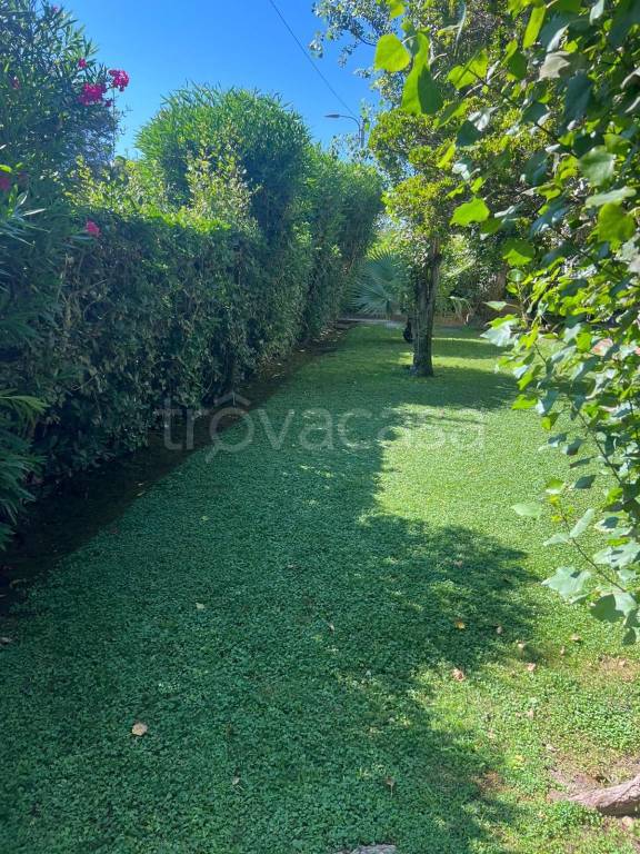 immagine annuncio 4 di 14