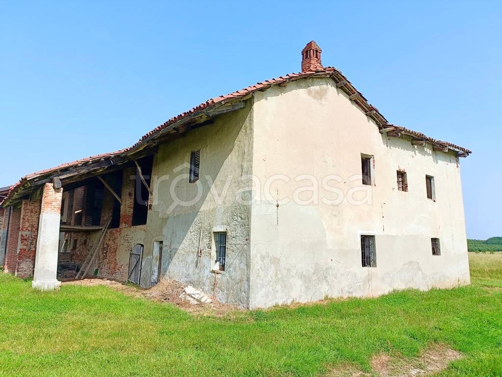 immagine annuncio 6 di 11
