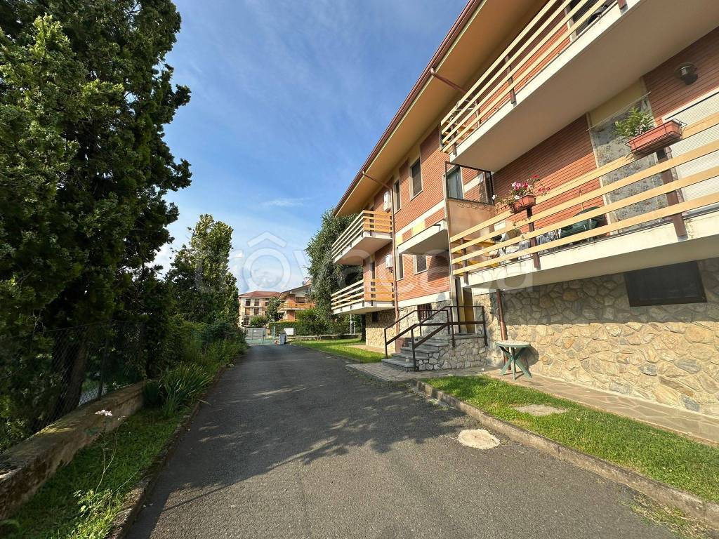 immagine annuncio 5 di 15