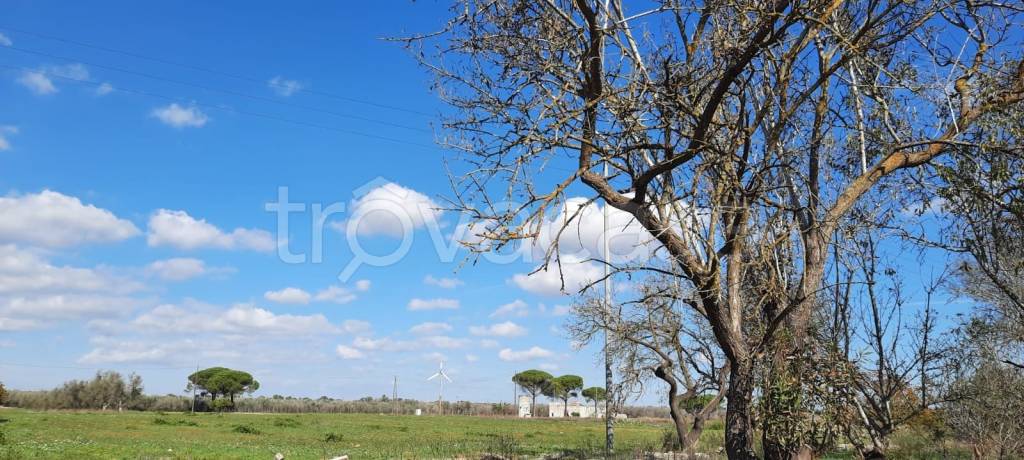 immagine annuncio 9 di 11