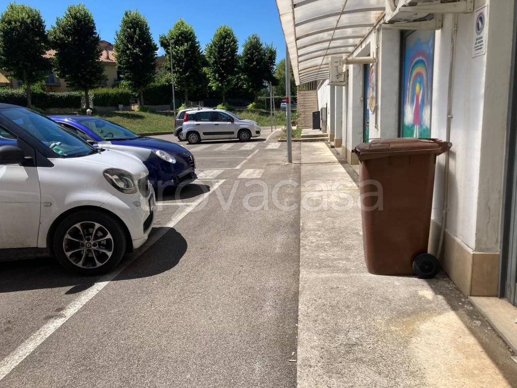 immagine annuncio 9 di 12