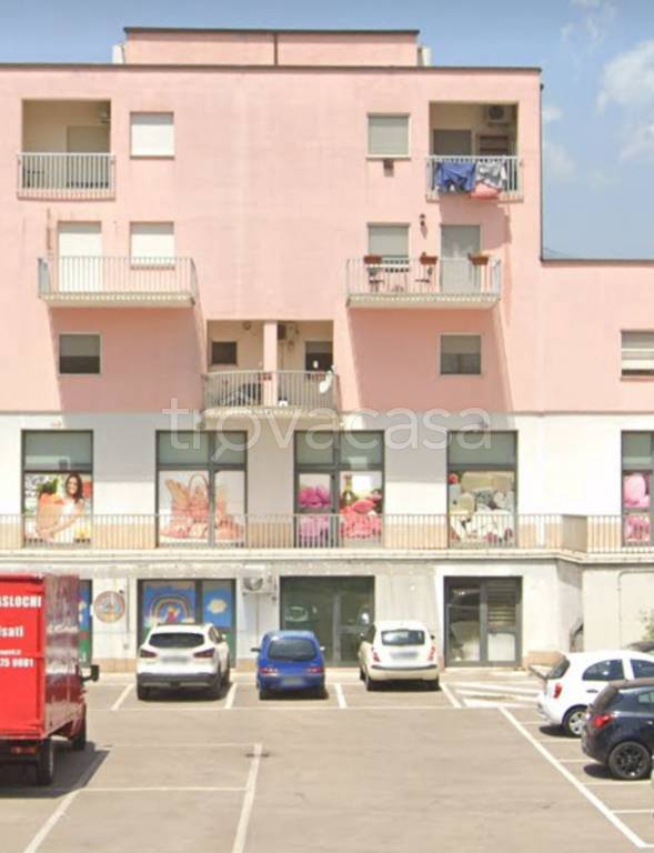 immagine annuncio 2 di 12