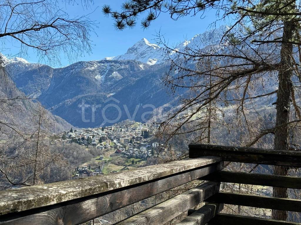 immagine annuncio 2 di 11