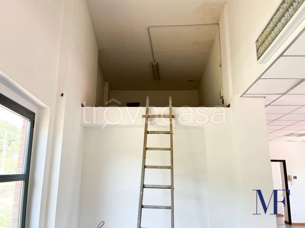 immagine annuncio 4 di 6