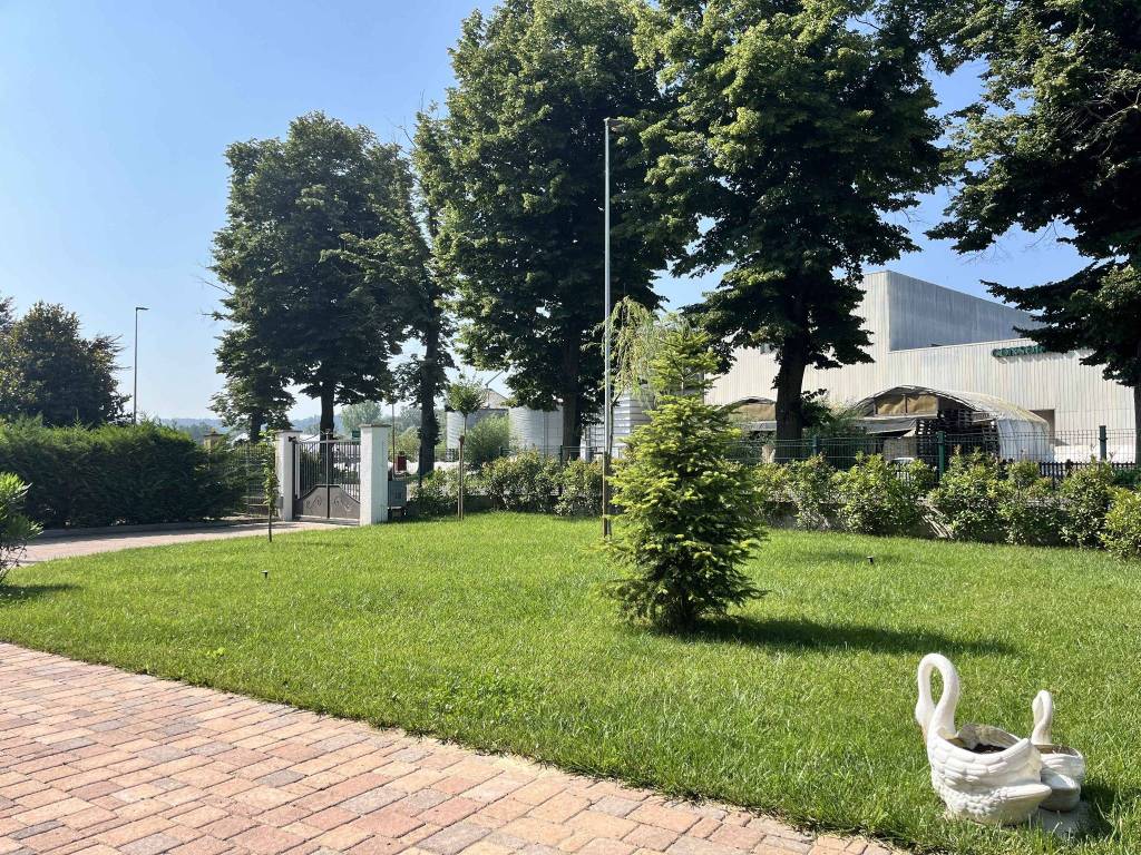 immagine annuncio 5 di 15