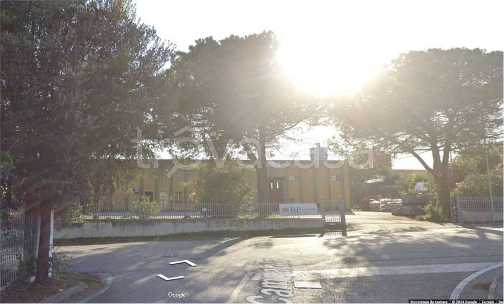 immagine annuncio 5 di 9