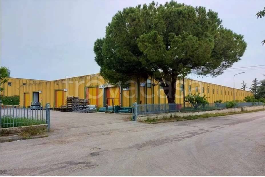 immagine annuncio 7 di 9