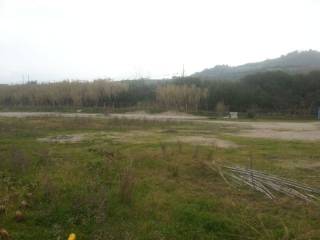 Terreno agricolo in affitto ad agropoli 