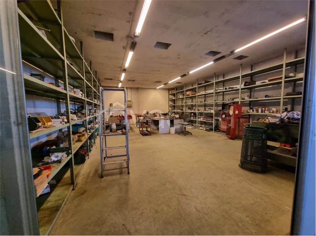 immagine annuncio 4 di 15