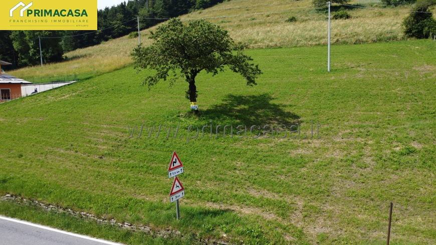 immagine annuncio 8 di 14
