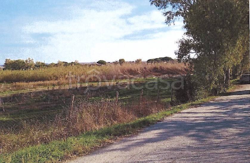 immagine annuncio 8 di 13