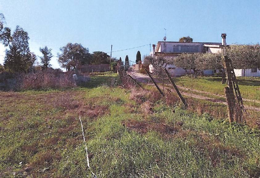 immagine annuncio 11 di 13
