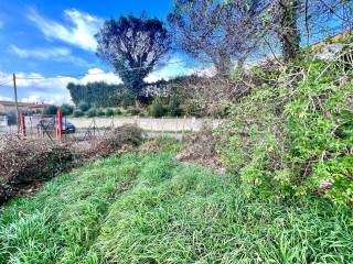 Terreno agricolo in affitto a roma via isasca