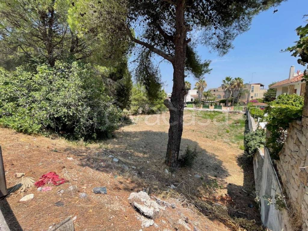 immagine annuncio 1 di 8