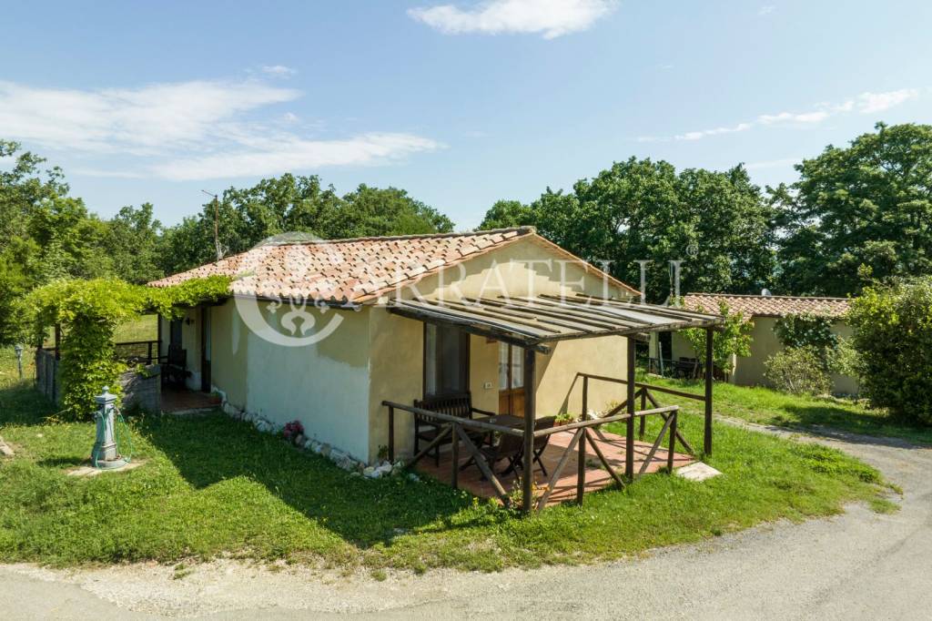 immagine annuncio 10 di 11