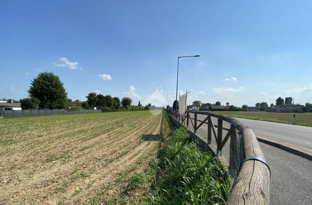 immagine annuncio 8 di 11