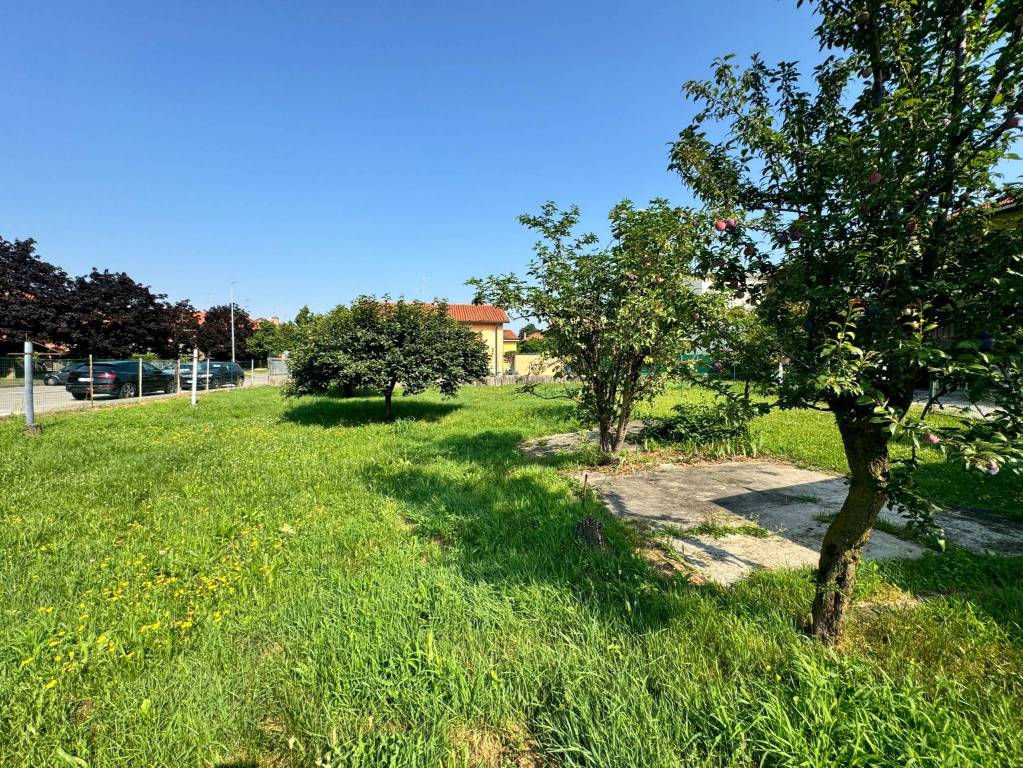 immagine annuncio 9 di 15