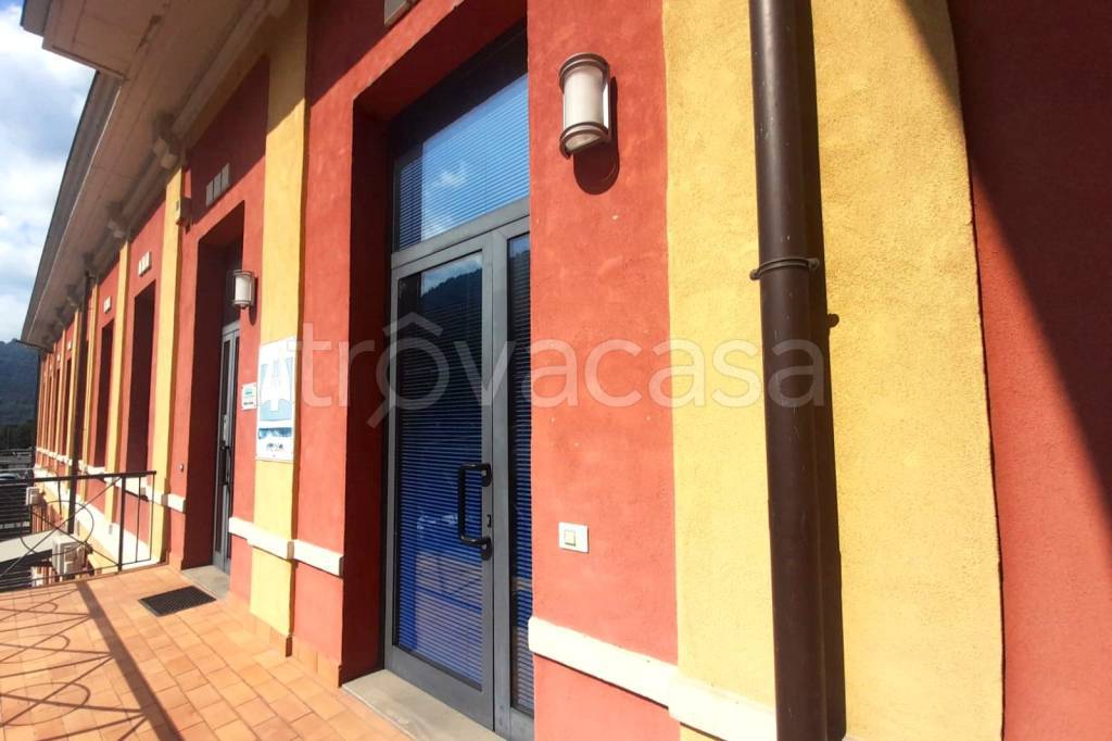 immagine annuncio 10 di 12