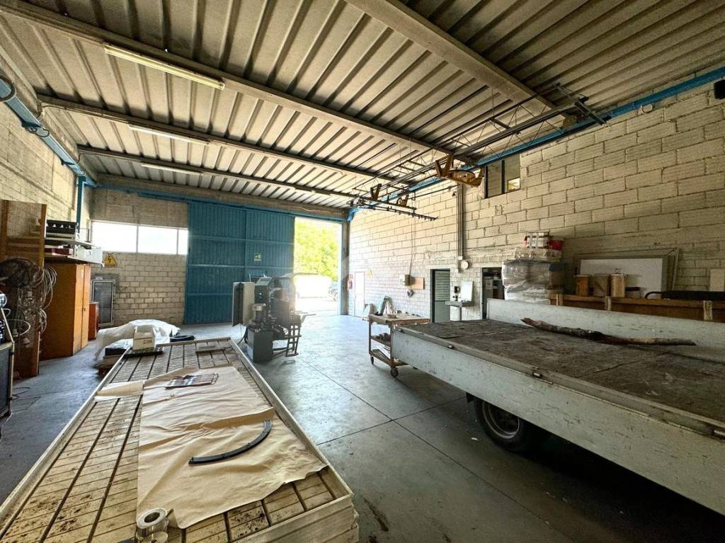 immagine annuncio 3 di 15