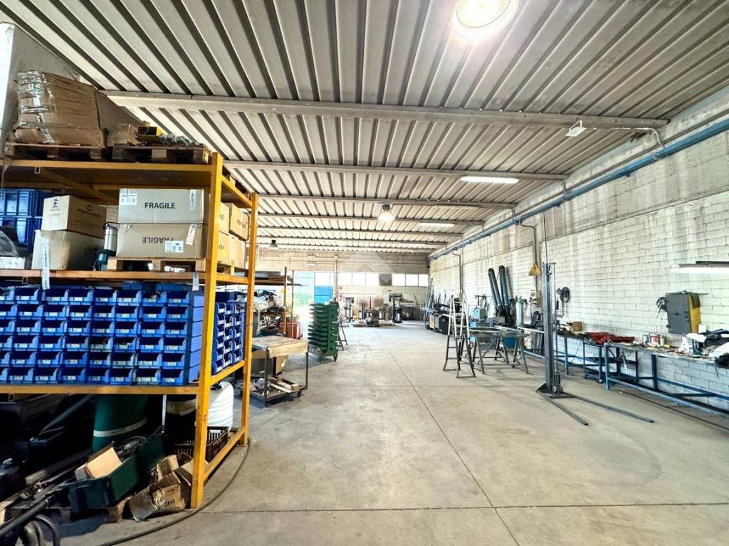 immagine annuncio 8 di 15