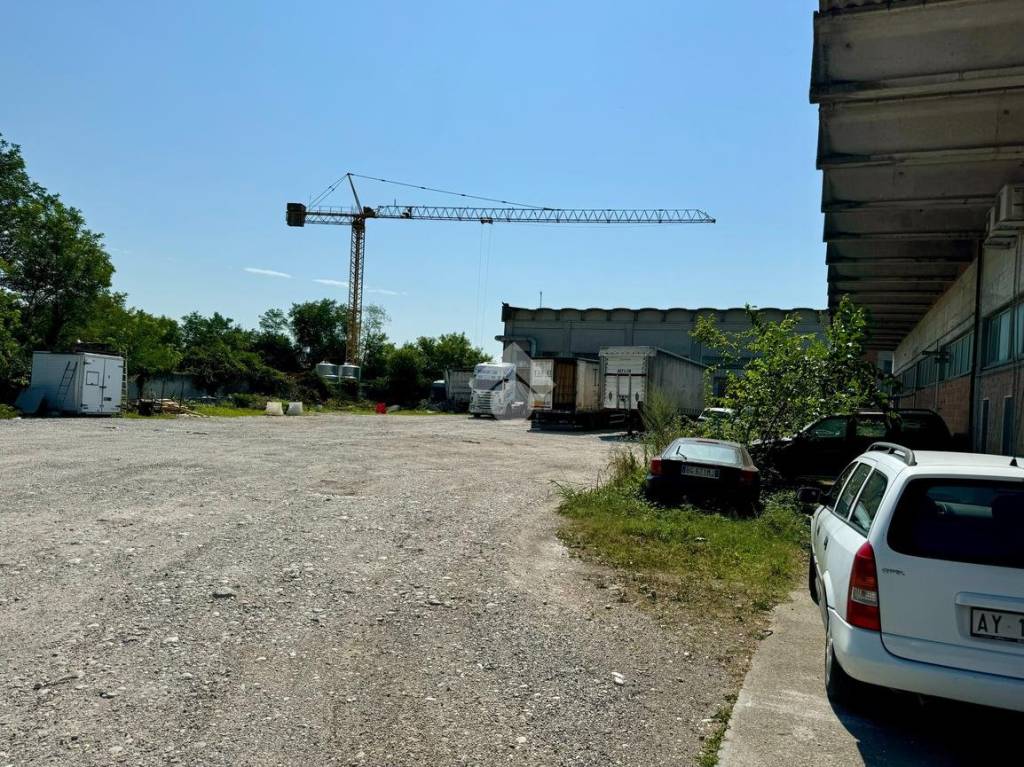 immagine annuncio 9 di 15