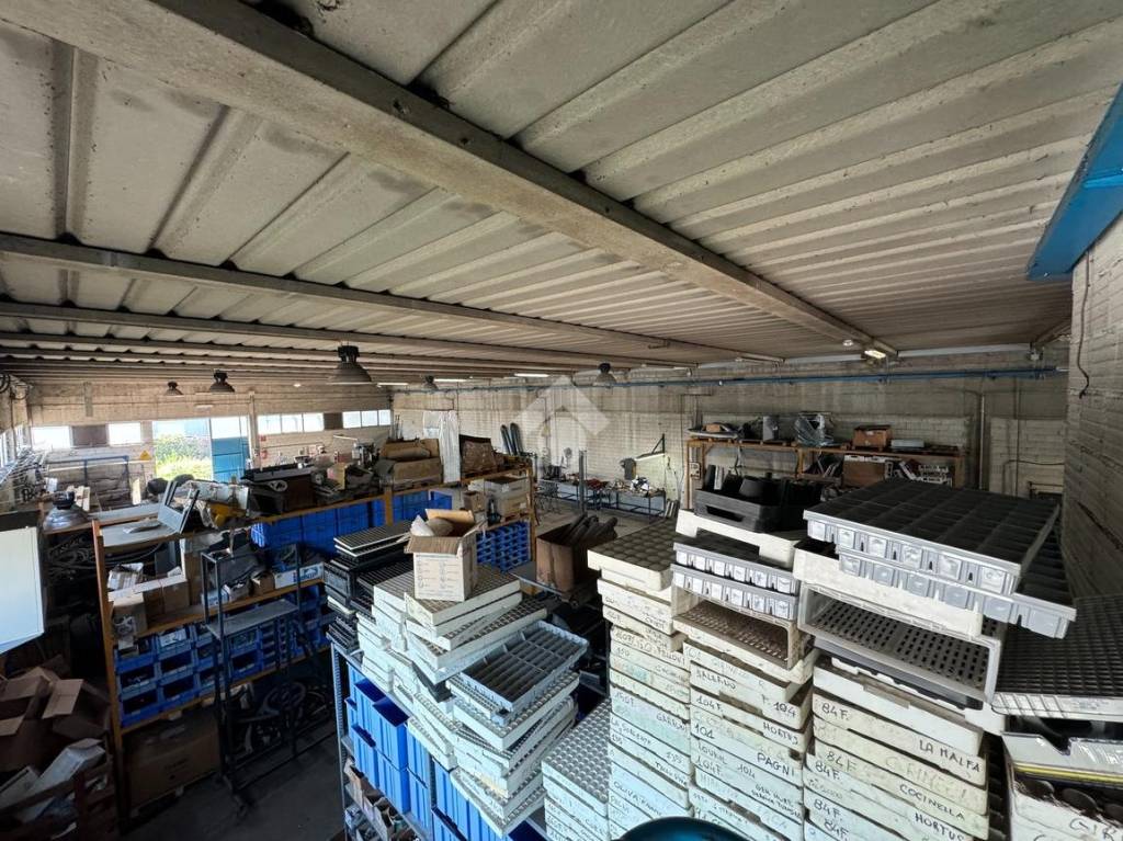 immagine annuncio 13 di 15