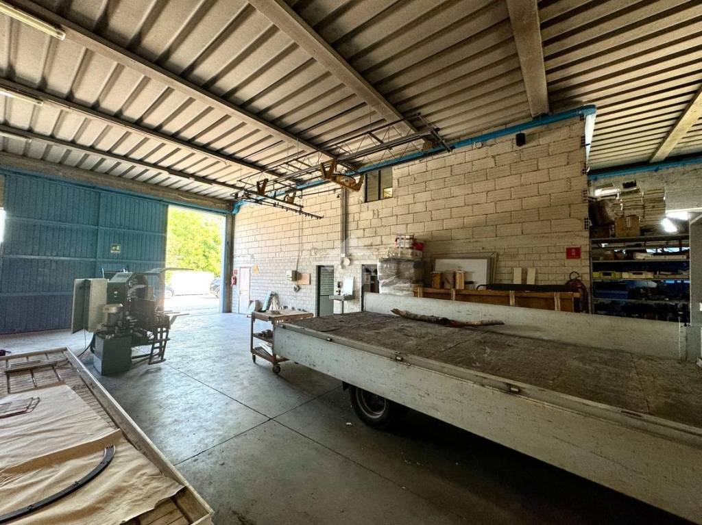 immagine annuncio 14 di 15