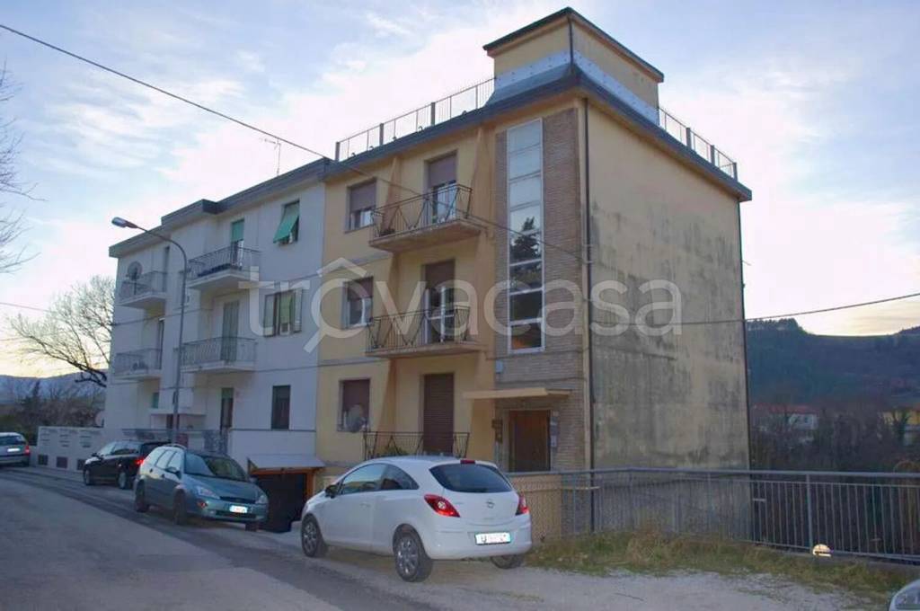 immagine annuncio 9 di 14