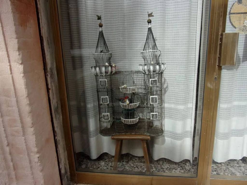 immagine annuncio 2 di 7